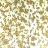 Kód: 39257 Arany glitteres tüll - GOLD / 39257